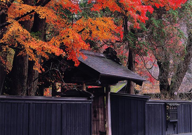 Du lịch Nhật Bản - Mùa thu lá đỏ