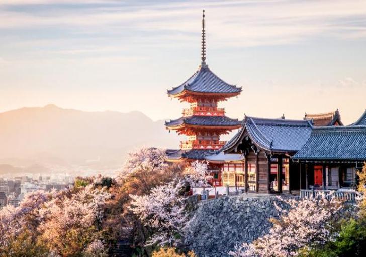 Du lịch Nhật Bản - Rực sắc hoa anh đào